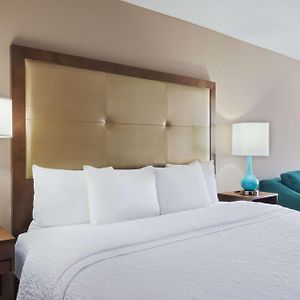 Junior King Suite Bay Window